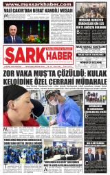 MUŞ ŞARK HABER