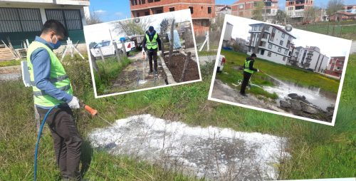 BAFRA BELEDİYESİ İLÇENİN DÖRT TARAFINDA LARVA MÜCADELESİNİ SÜRDÜRÜYOR