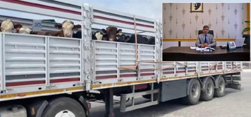 Şap Hastalığı Nedeniyle Durdurulan Hayvan Hareketleri Kısıtlaması 28 Nisan da Kalkıyor