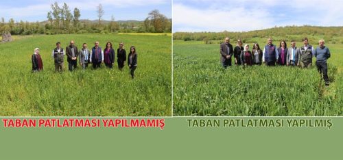 TARIM ARAZİLERİNDE TABAN PATLATMASI