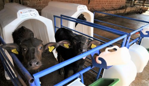 BÜYÜKŞEHİR DESTEK VERDİ ÜRETİM ARTTI