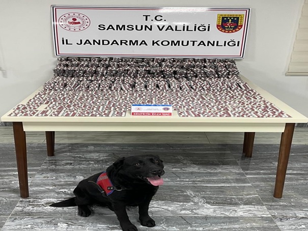 İl Jandarma Komutanlığının Haziran Ayı İçerisinde Gerçekleştirmiş Olduğu Faaliyet ve Çalışmalar