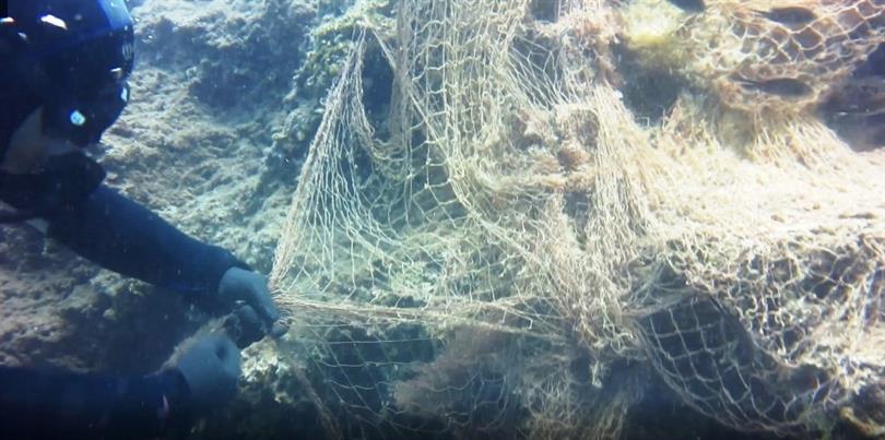 Samsun’da İstilaci Türler ve Hayalet Av Araçları Çalıştayı