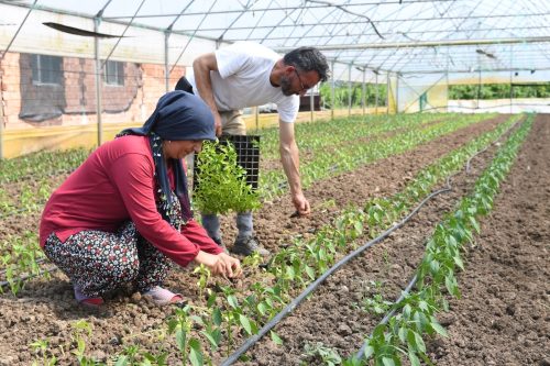 BÜYÜKŞEHİR DESTEKLİYOR, TARIM GÜÇLENİYOR