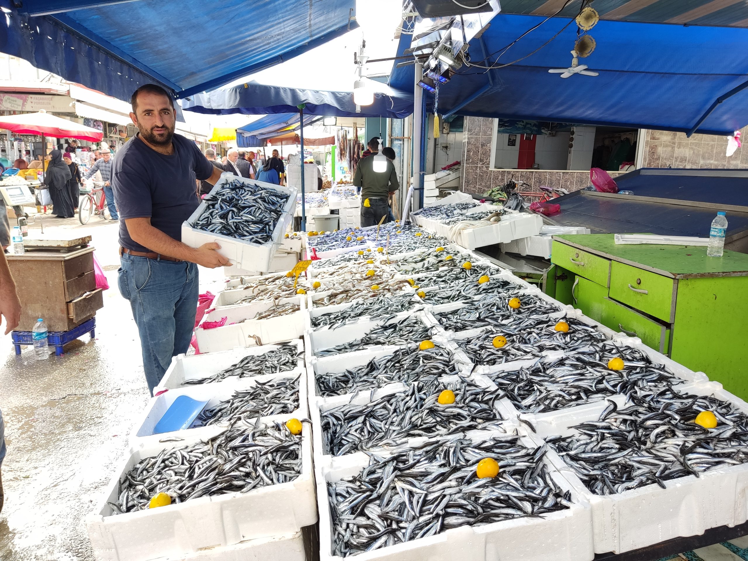 Bafra’da Yerli Hamsi Bereketi Etiketlere Yansıdı