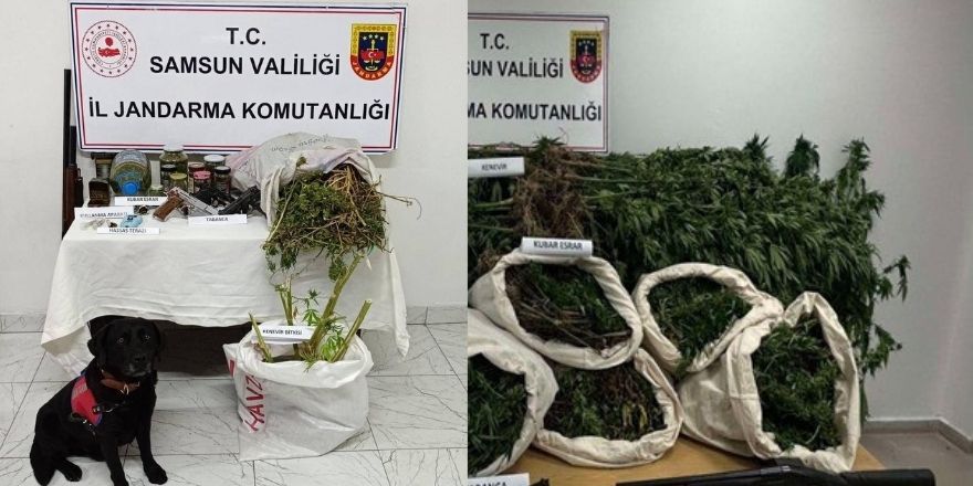 Samsun İl Jandarma ekipleri suçluları affetmedi 2,6 milyon TL ceza
