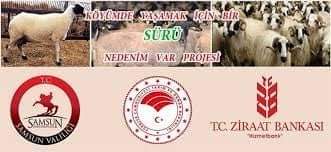 KÖYÜMDE YAŞAMAK İÇİN BİR SÜRÜ NEDENİM VAR” PROJESİ