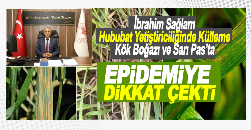 Külleme Kök Boğazı ve Sarı Pas’ta Epidemiye Dikkat Çekti
