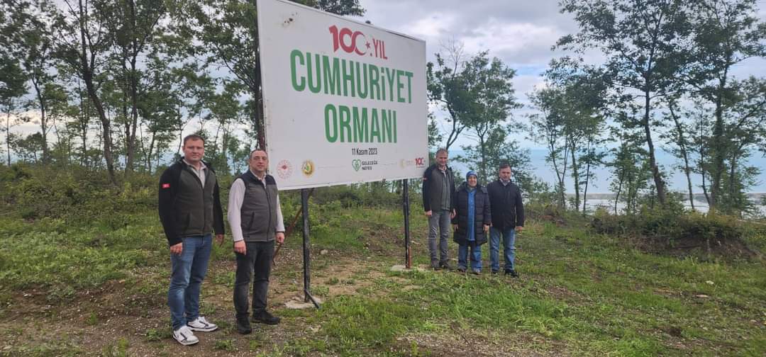 Alaçam’ın Defne Ormanları Bakımlı ve Sağlıklı Olarak Büyüyor