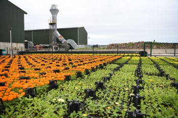 ÇÖPTEN ÜRETİLEN ÇİÇEKLER ŞEHRİ SÜSLÜYOR