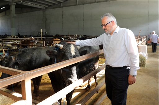 BAŞKAN KILIÇ CANLI HAYVAN PAZARINI ZİYARET ETTİ