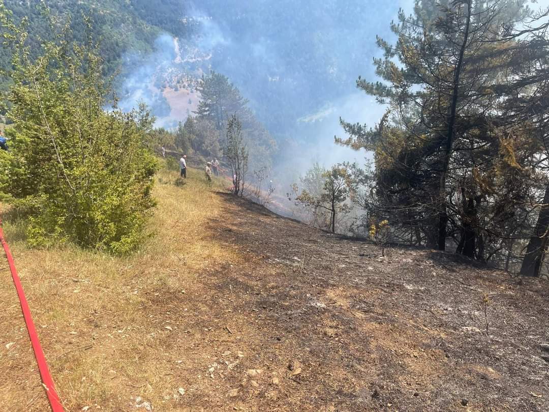 Yakakent’te Orman Yangını 3 Hektar Alan Yandı