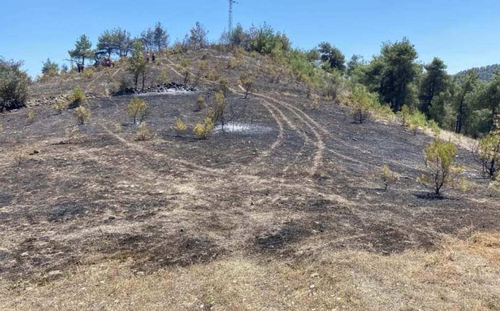 Kırsal alan da çıkan Örtü yangını Ormanlık alana sıçramadan söndürüldü