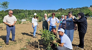 İLÇE TARIM’DAN CEVİZ ÜRETİCİLERİNE ZİYARET