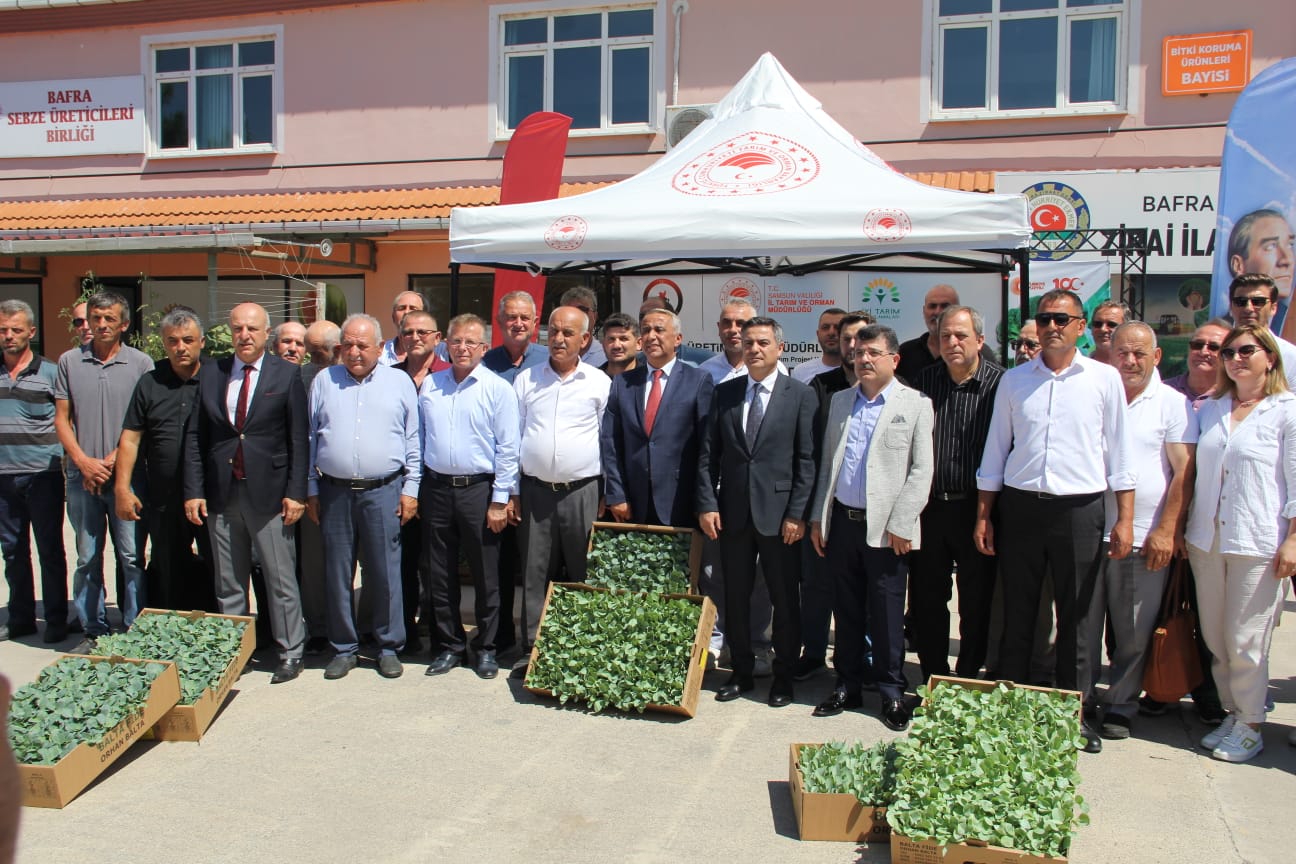 Bafra’da Sebze Üretimi Projesi Kapsamında Üreticilere Kışlık Fide Dağıtımı