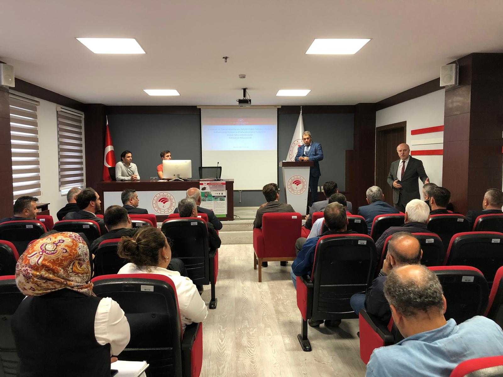 BAFRA’ DA KAHVERENGİ KOKARCA İLE MÜCADELE