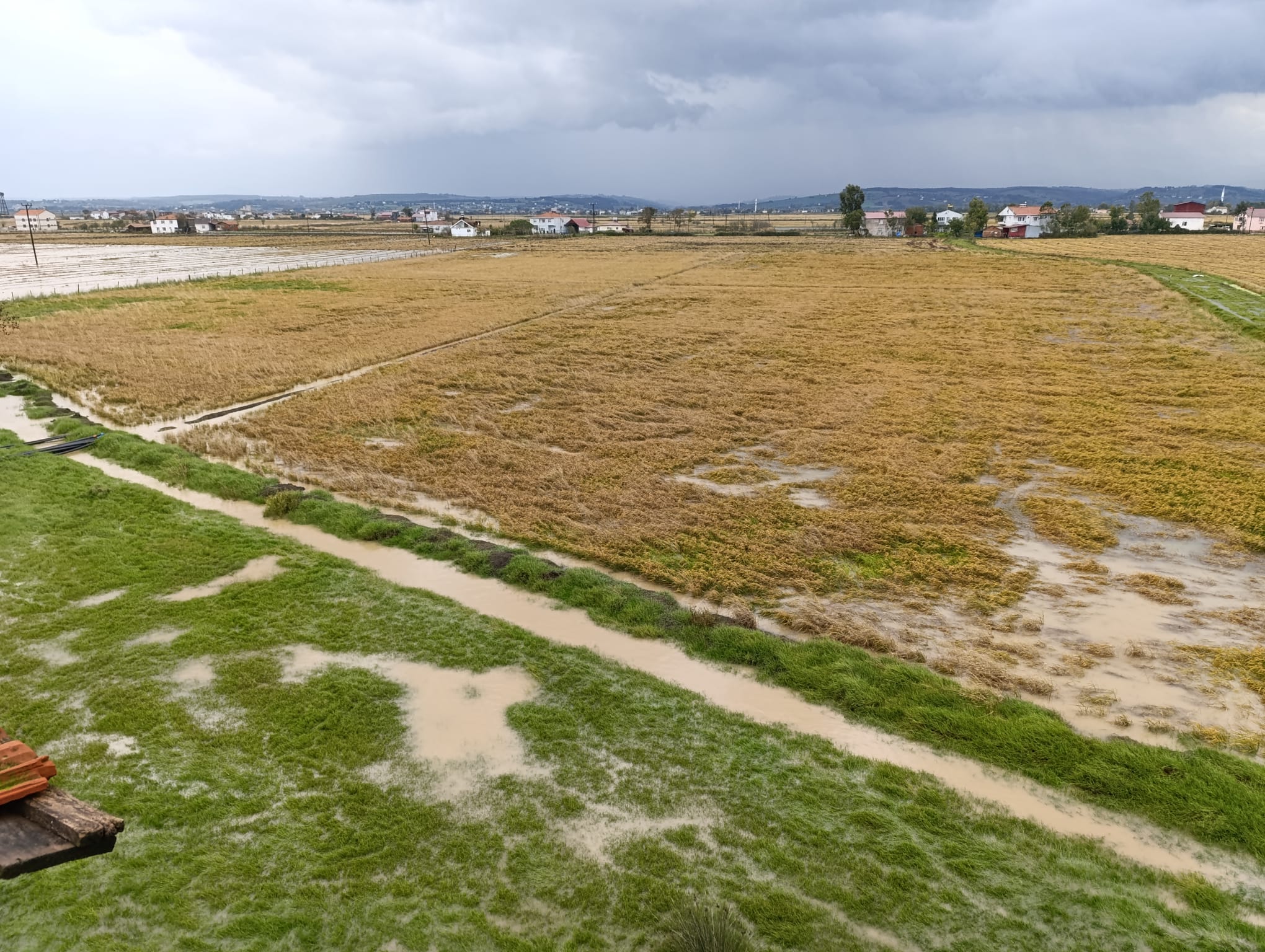 Sağanak Yağmur Üreticileri Mağdur Ediyor
