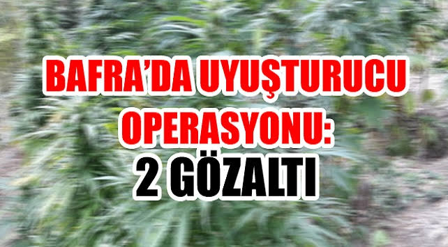 Bafra’da uyuşturucu Operasyonu 2 kişi göz altı