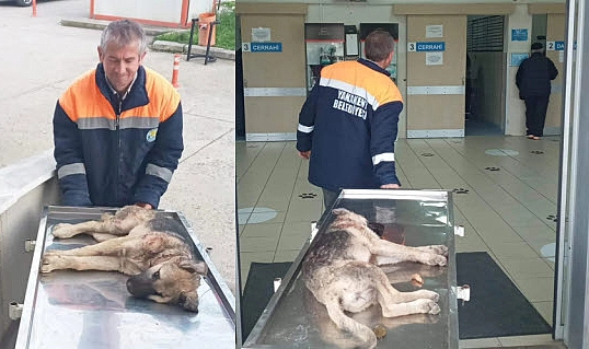 BELEDİYE EKİPLERİNDEN ÖRNEK DAVRANIŞ