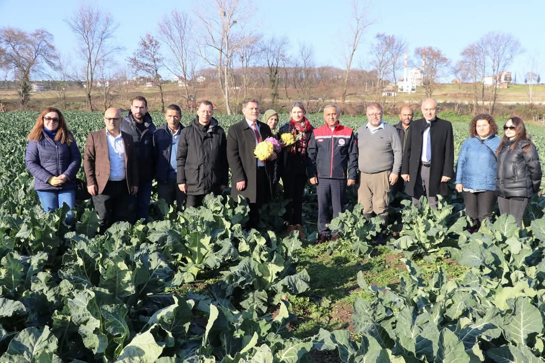 19 Mayısta ” Renkli Karnıbahar Hasadı” Günü
