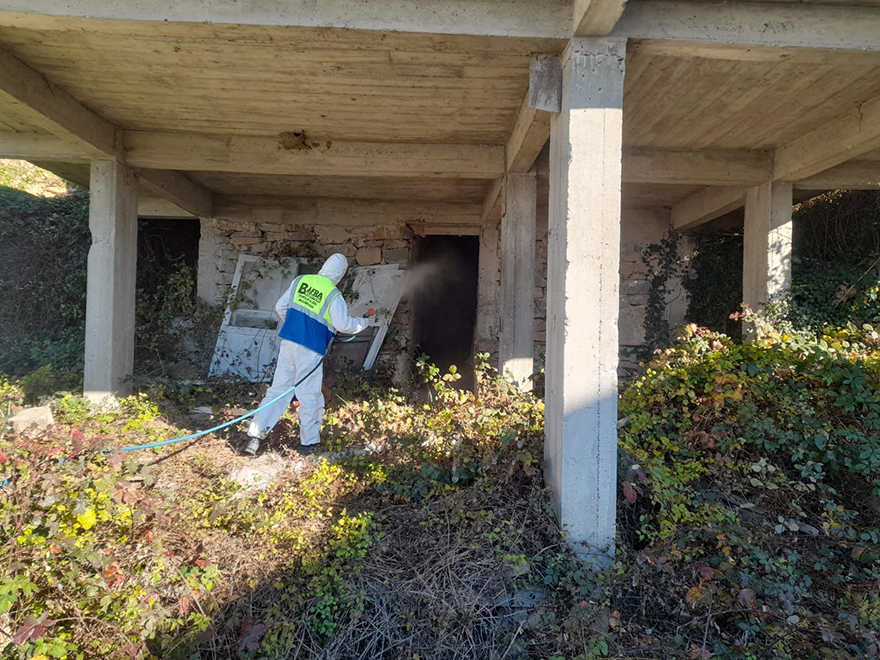 Bafra’da Kahverengi Kokarca Zararlısına Karşı Kışlak Mücadelesine start verildi