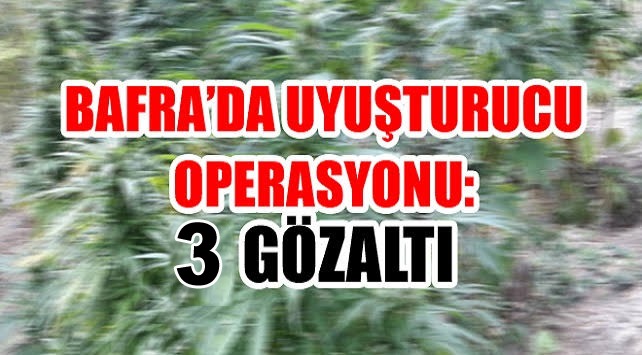 Bafra’da Uyuşturucu Operasyonu 3 Şüpheliye Gözaltı