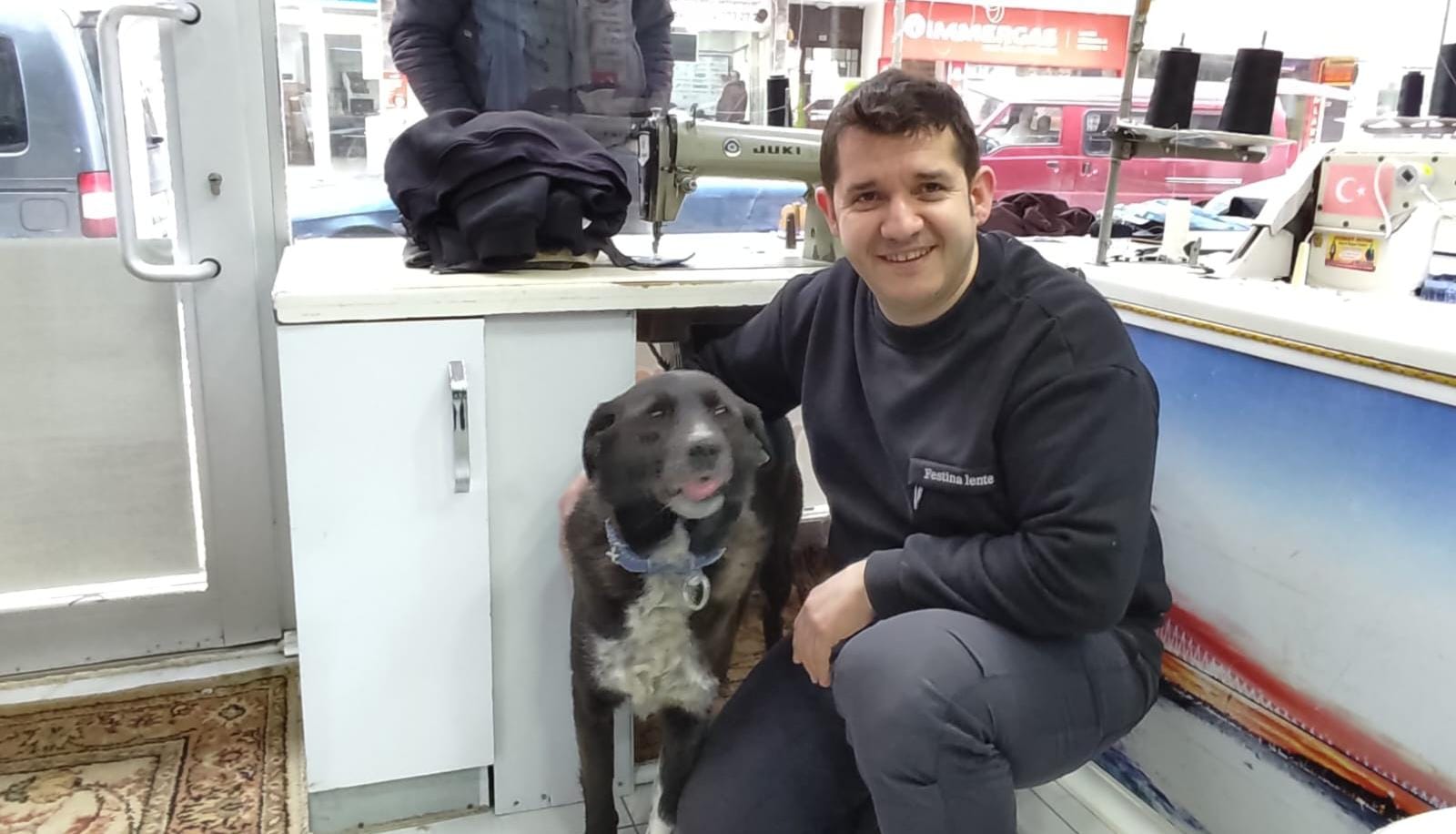 Adı Alexis Sahibinin akıllı Can dostu  yanından hiç ayrılmıyor 