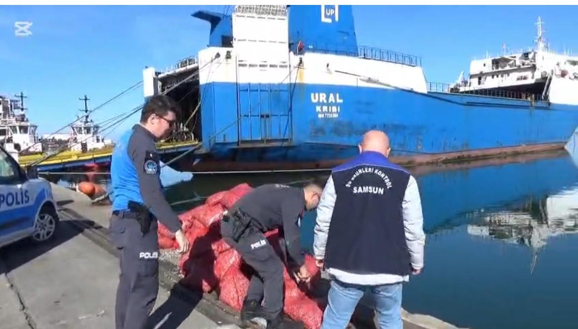 Samsun’da Yasadışı Midye Avına Geçit Yok