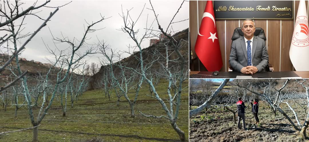 Üreticilere Uyarı Bordo Bulamacı Uygulama Zamanını Kaçırmayın
