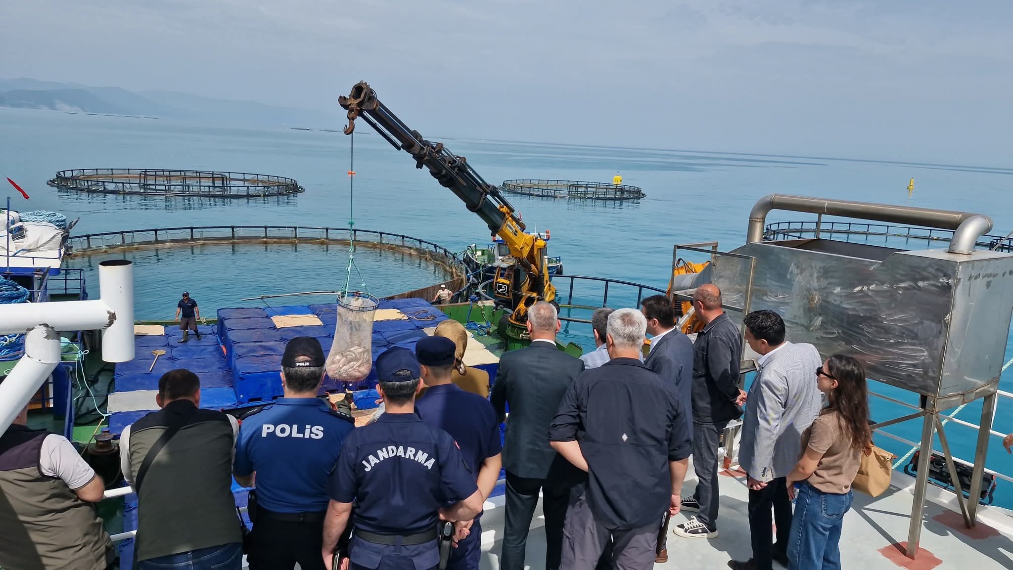 SAMSUN’DA TÜRK SOMONU HASADI BAŞLADI!