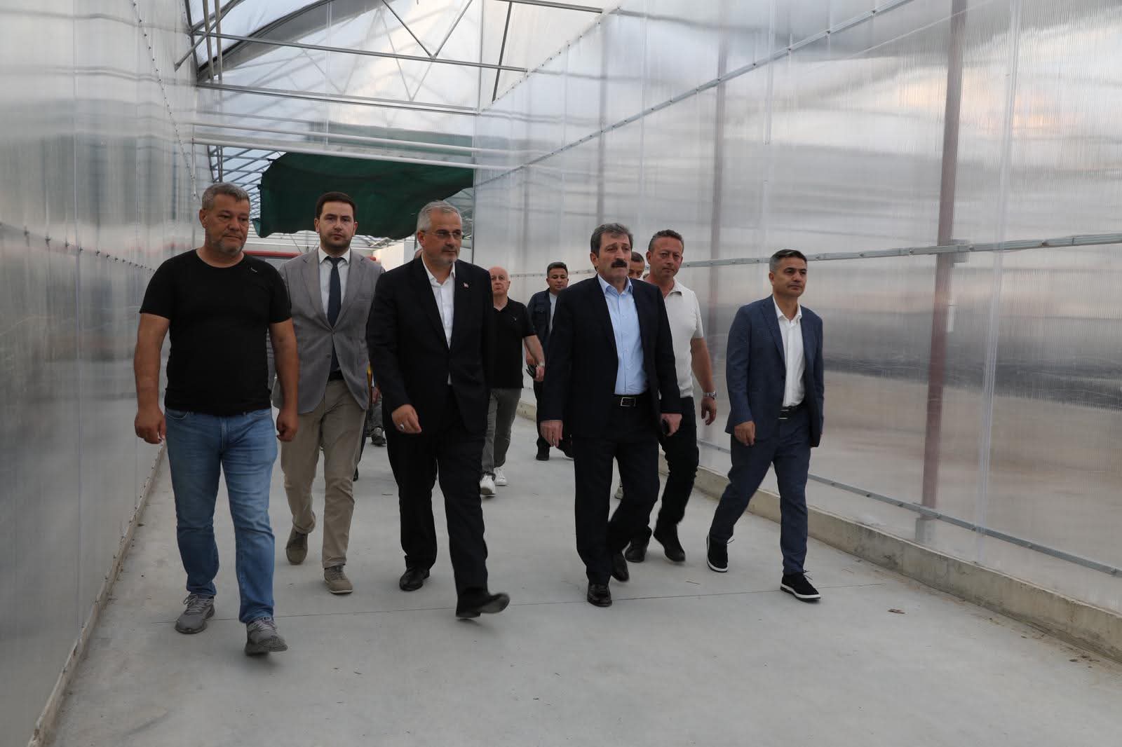 Bafra Sera OSB’deki Tarımsal Üretim Faaliyetleri Yerinde İncelendi