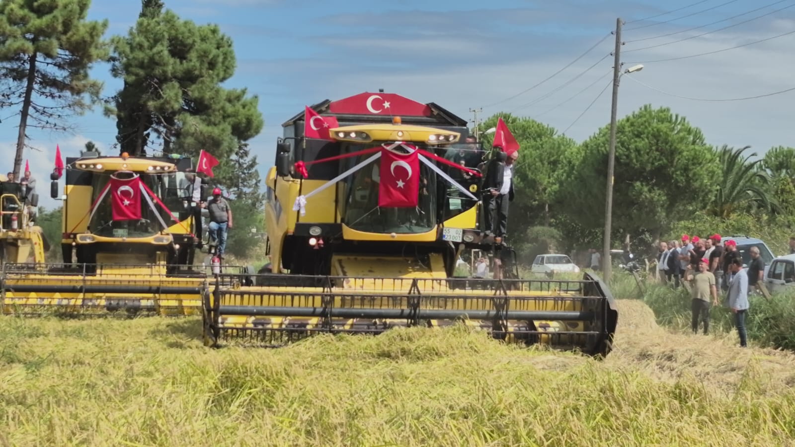 Alaçam’da Çeltik Hasadı Günü Etkinliği