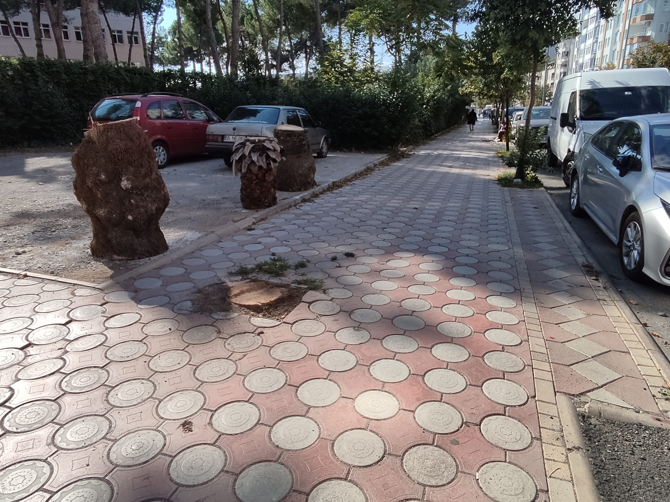 Yetkililer Haberimize Duyarsız kalmadı