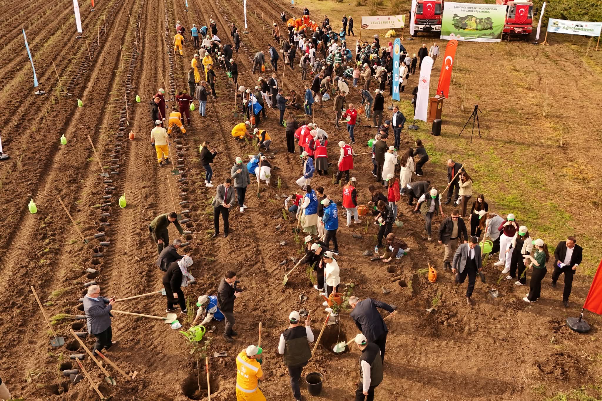 Bafra’da “Milli Ağaçlandırma Günü “