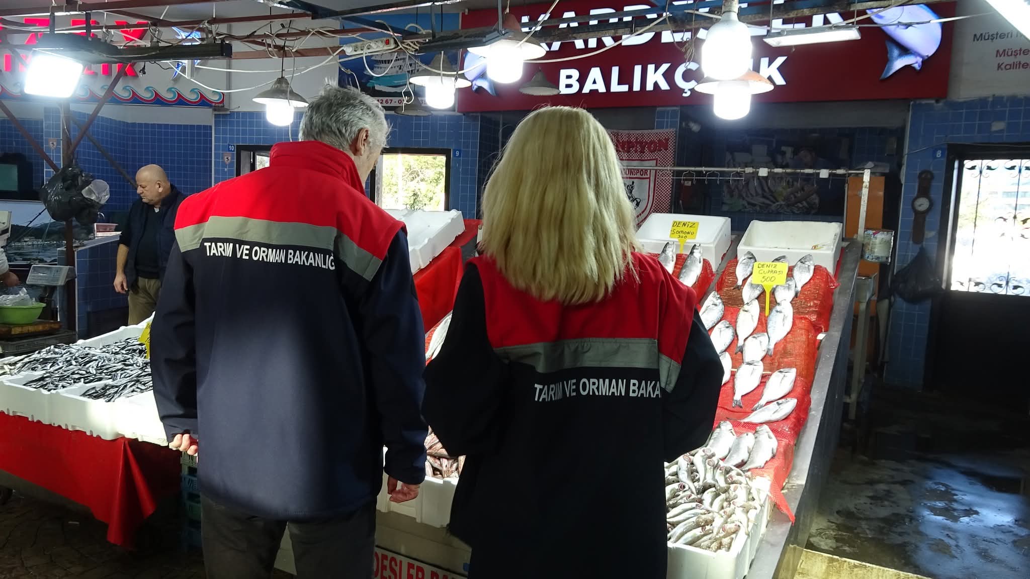 Samsun Su Ürünleri Sektöründe Yoğun Av Sezonu ve Etkin Denetimler Sürüyor