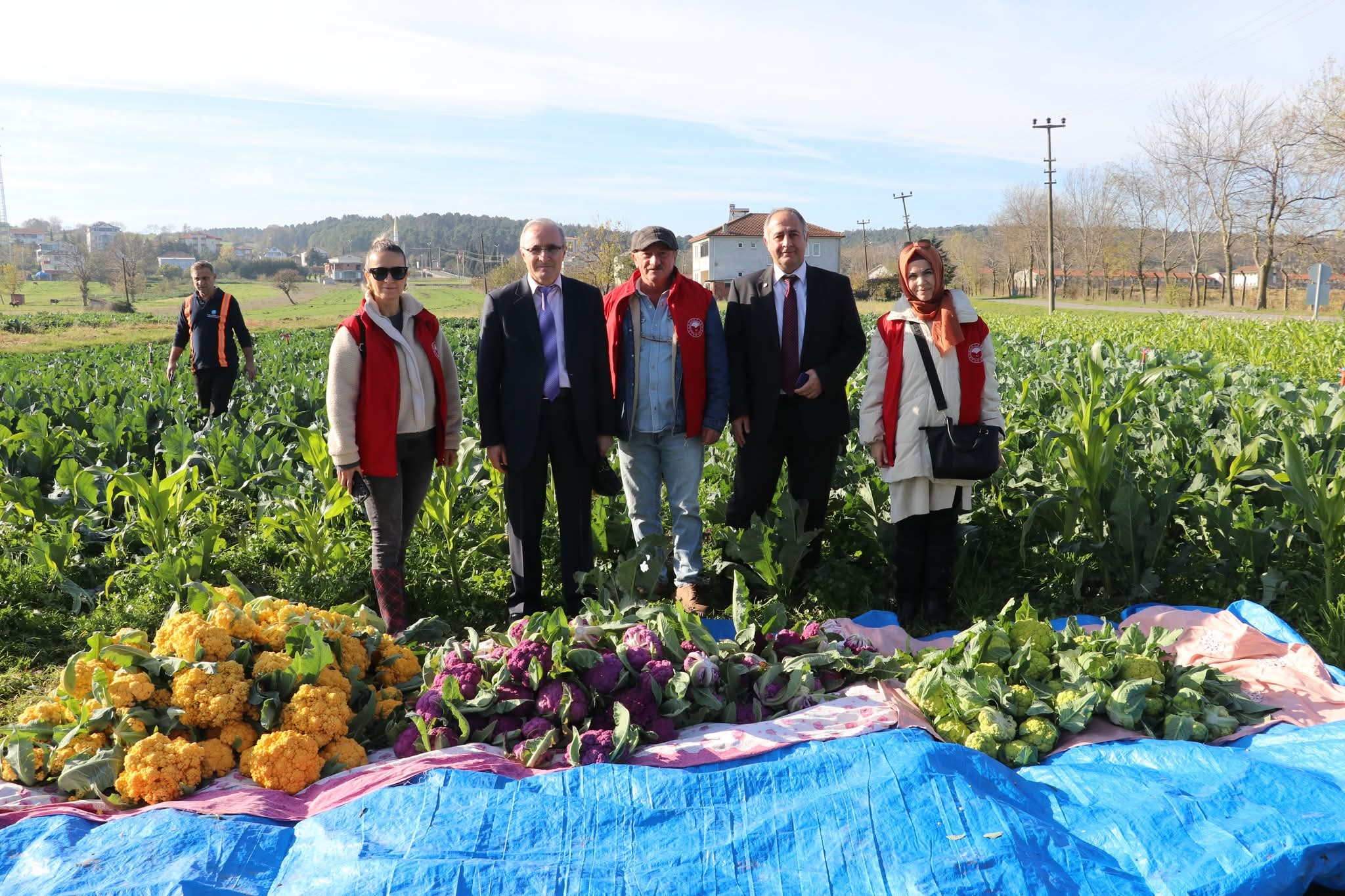 📌 KIŞLIK SEBZE VE RENKLİ KARNABAHAR ÜRETİMİNDE SAMSUN TÜRKİYE’NİN LİDERİ