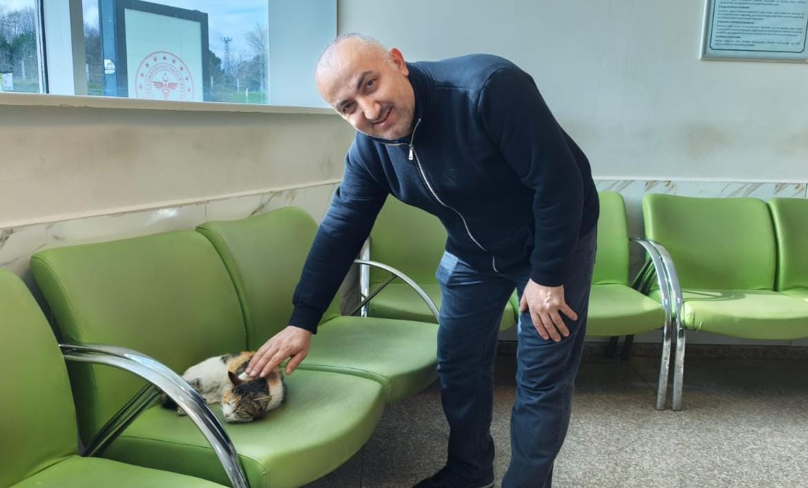 Bafra Devlet Hastanesi Acil Bölümün Maskotu  Misafiri Minnoş İsimli Kedi