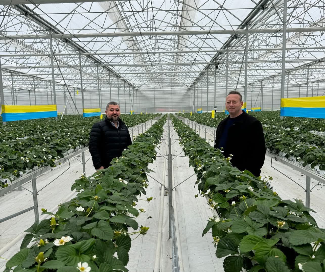 Bafra TSO’dan Sera OSB’ye Ziyaret