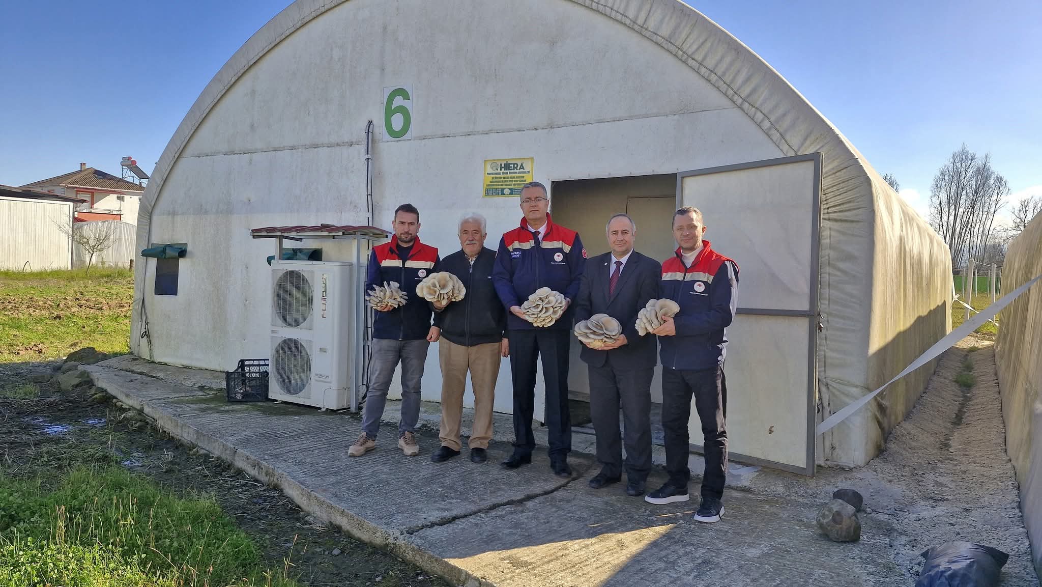 🍄 İstiridye Mantarı Üretimi Gelişmeye devam ediyor 