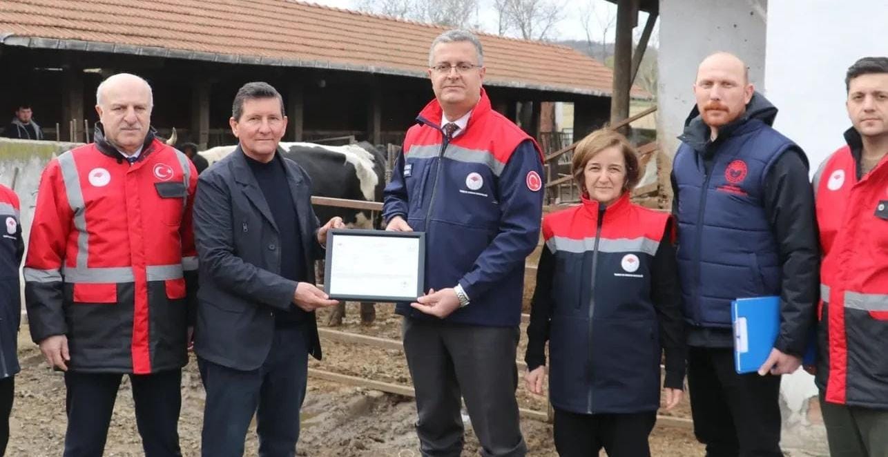 Samsun’da Ari İşletme Sayısı Hızla Artıyor