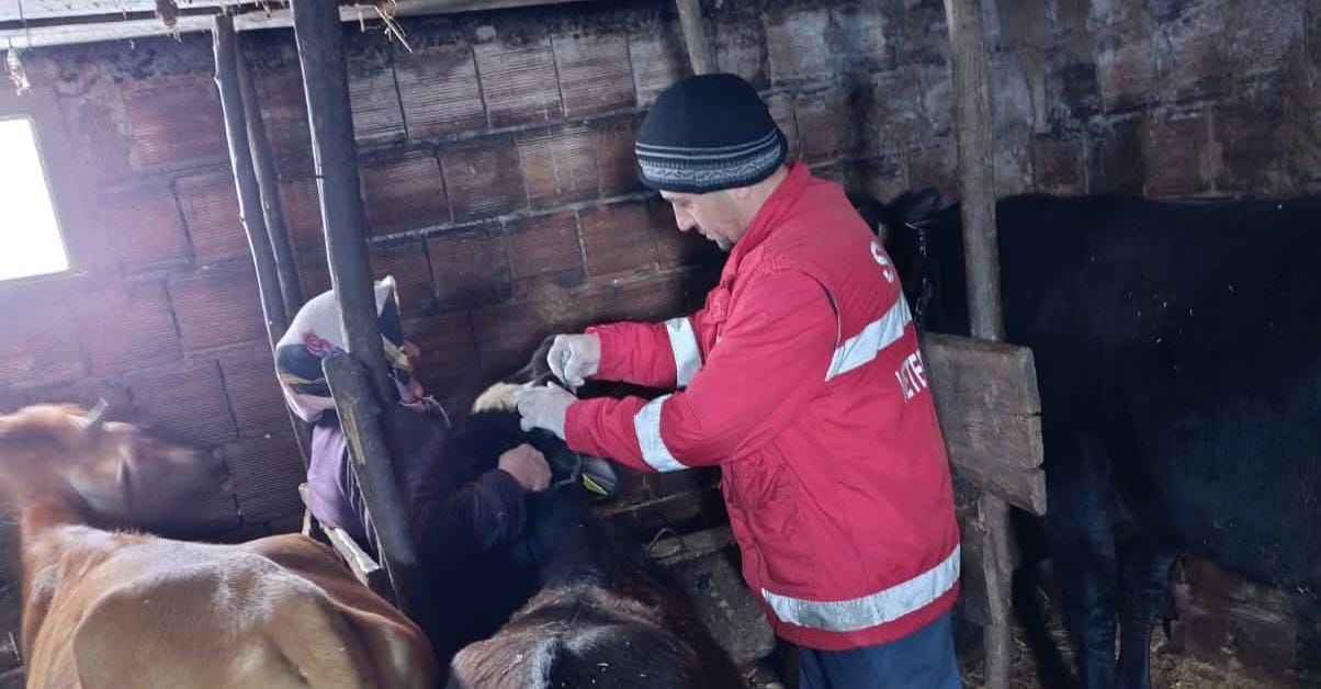 📢 Zorlu hava şartlarına rağmen aşılama çalışmaları aralıksız sürüyor!