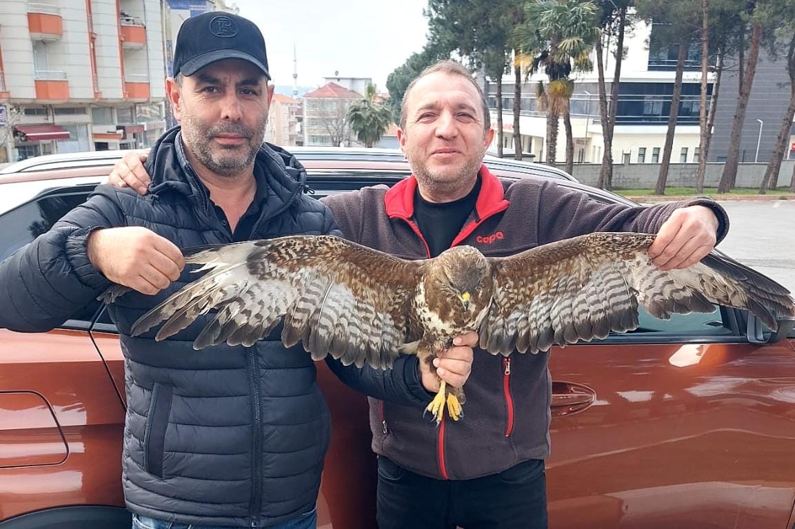Yaralı Buldukları Kızıl Şahin’ı Kaderine Terk Etmediler Onu Doğa Koruma Ekiplerine Teslim Ettiler