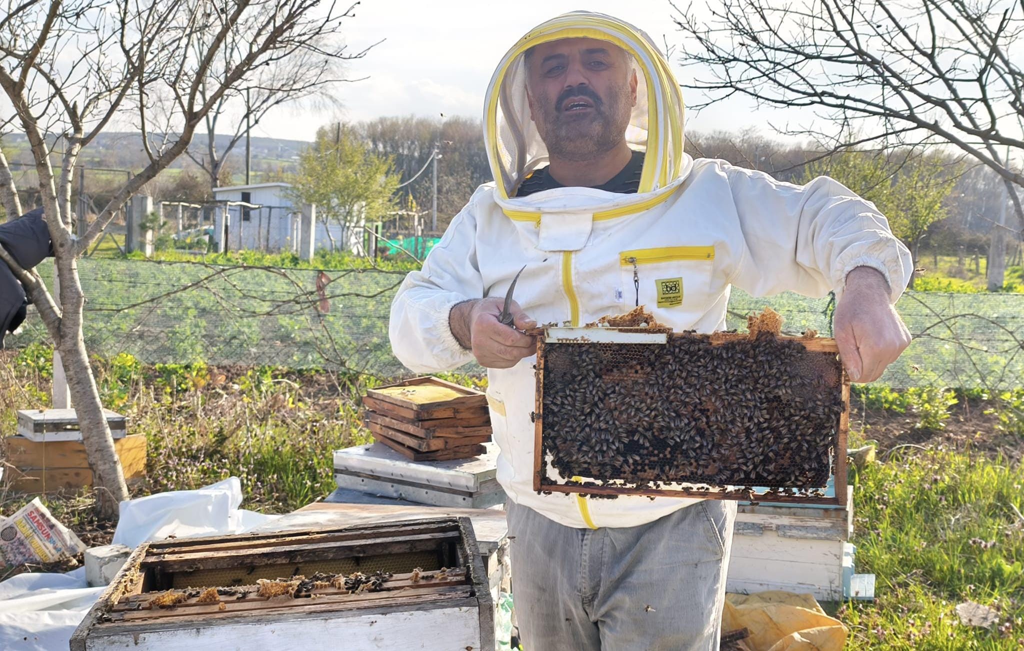 Bafra’nın Yüksek Kesimlerinde ve Yörelerinde Arıcıların Arıları için Bahar Mesaisi
