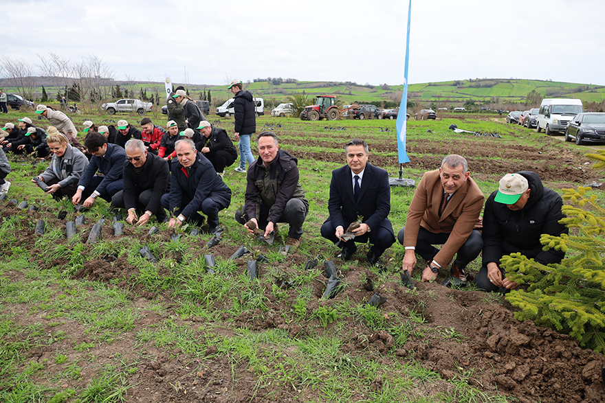 Bafra’da Türkiye’nin Gücü Orman Haftasında Fidanlar Toprakla Buluştu