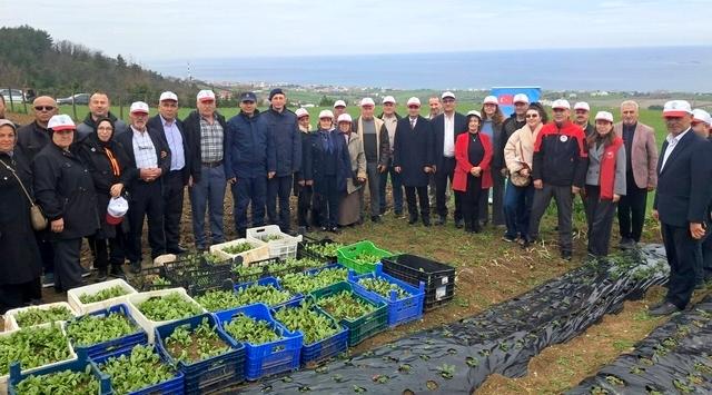 YAKAKENT TE AK ZAMBAK YETİŞTİRİCİLİĞİ TANITIMI