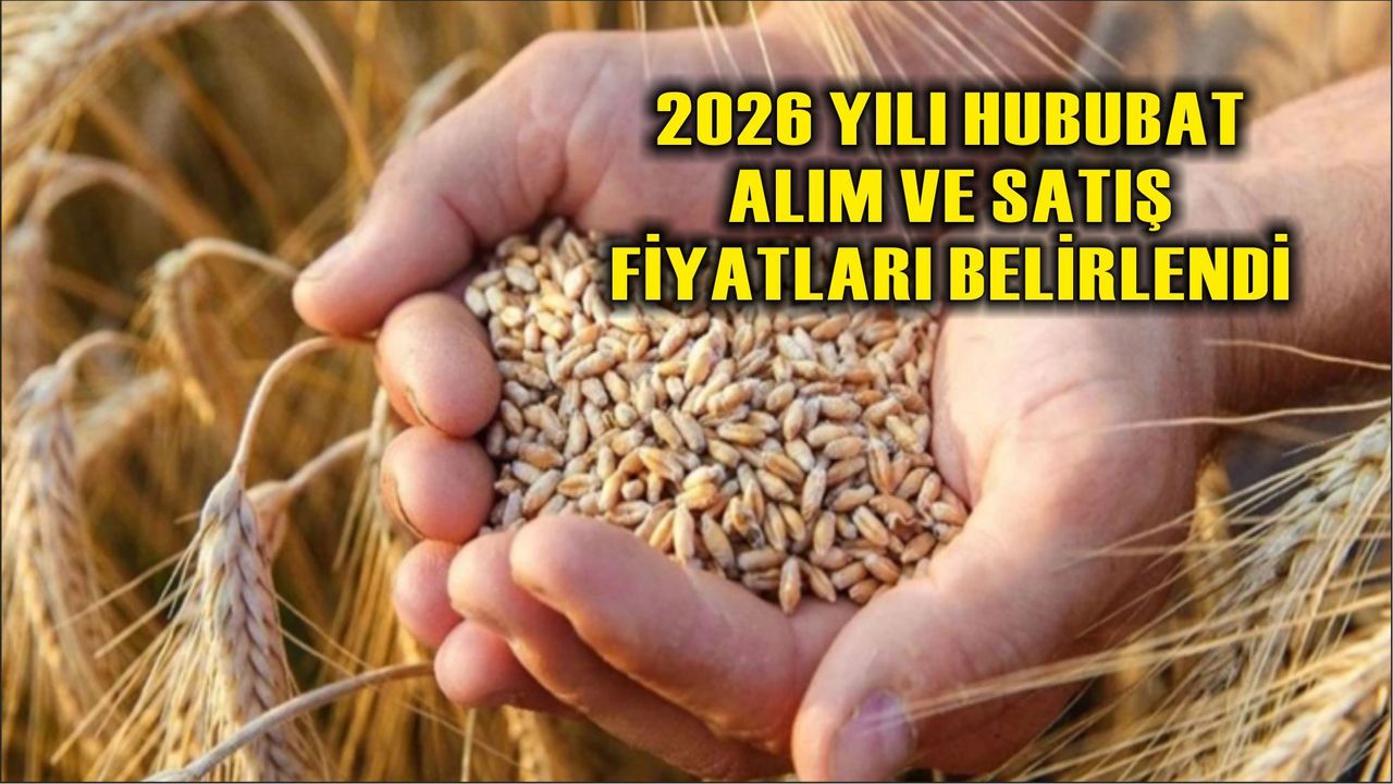 2026 YILI HUBUBAT ALIM VE SATIŞ FİYATLARI BELİRLENDİ