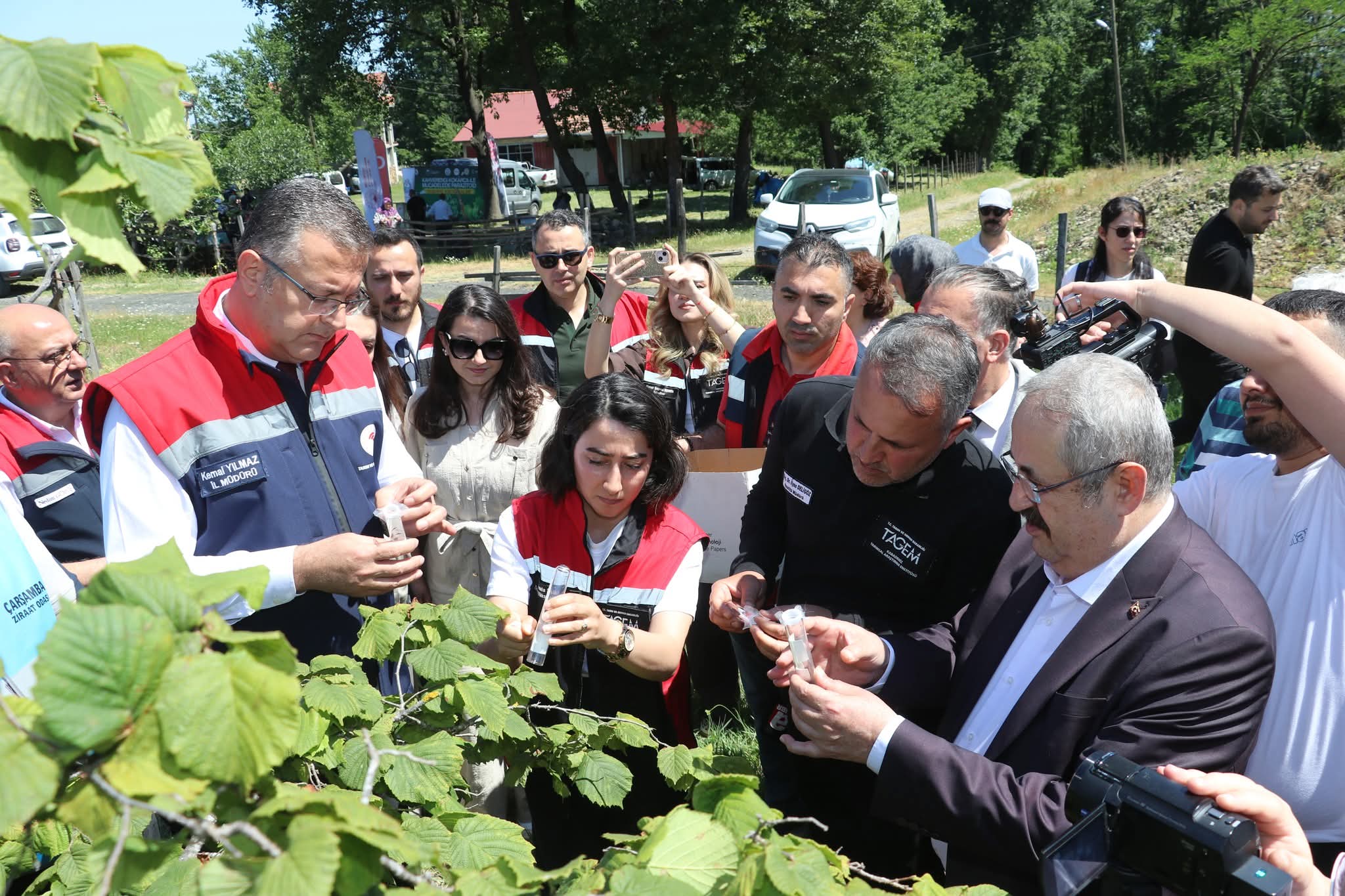 📍KAHVERENGİ KOKARCA MÜCADELEDESİNDE SAMURAY ARILARI İŞ BAŞINDA