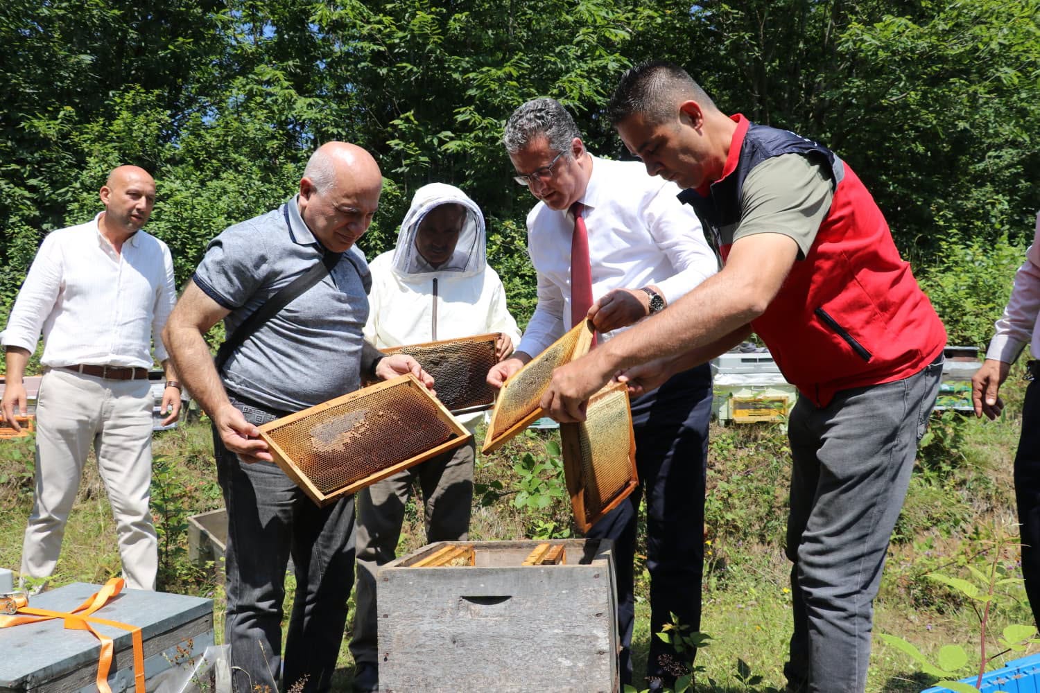 🌰🍯 Coğrafi İşaretli Salıpazarı Kestane Balında Hasat Heyecanı Başladı